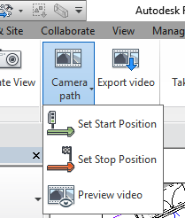 video%2Boptions.png